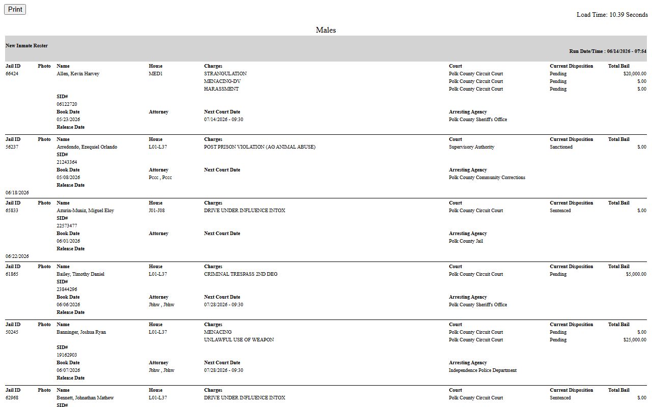Polk County jail roster with charge, court, disposition, and bail fields